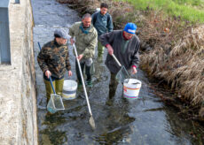 La Guida - Per una gestione sostenibile della fauna ittica, esperti a confronto