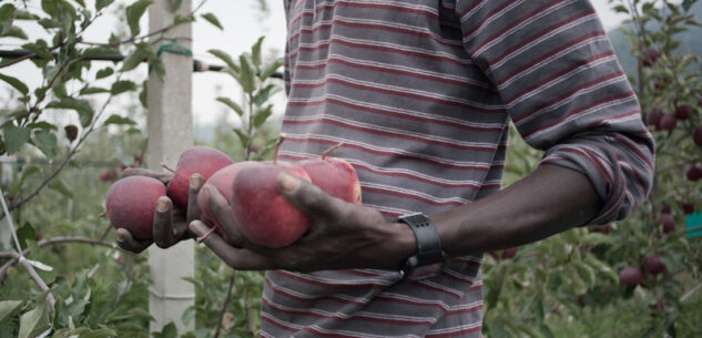 La Guida - Il Pd: “I problemi dei migranti della frutta rimangono tanti e complicati”