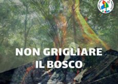 La Guida - Siccità e rischio incendi: l’appello Aib, “Non grigliare il bosco”