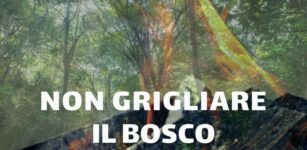 La Guida - Siccità e rischio incendi: l’appello Aib, “Non grigliare il bosco”