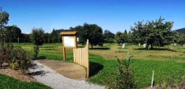 La Guida - L’Università di Torino e il Centro di castanicoltura uniti alla ricerca di un collaboratore