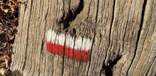 Segnavia, un aiuto per dare risposte al lutto La Guida - Segnavia, un aiuto per dare risposte al lutto