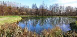 La Guida - “Missione laghetti”, alla scoperta della nuova area di Crocetta nel Parco Fluviale