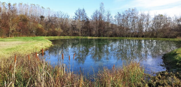 La Guida - “Missione laghetti”, alla scoperta della nuova area di Crocetta nel Parco Fluviale