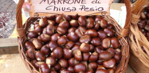 La Guida - “La castagna, da cibo popolare a eccellenza”, incontro a Chiusa Pesio