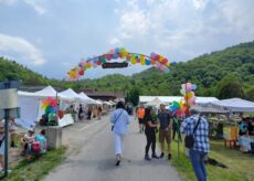 La Guida - Borgo, centinaia di persone alla 4ª Giornata della Petunia