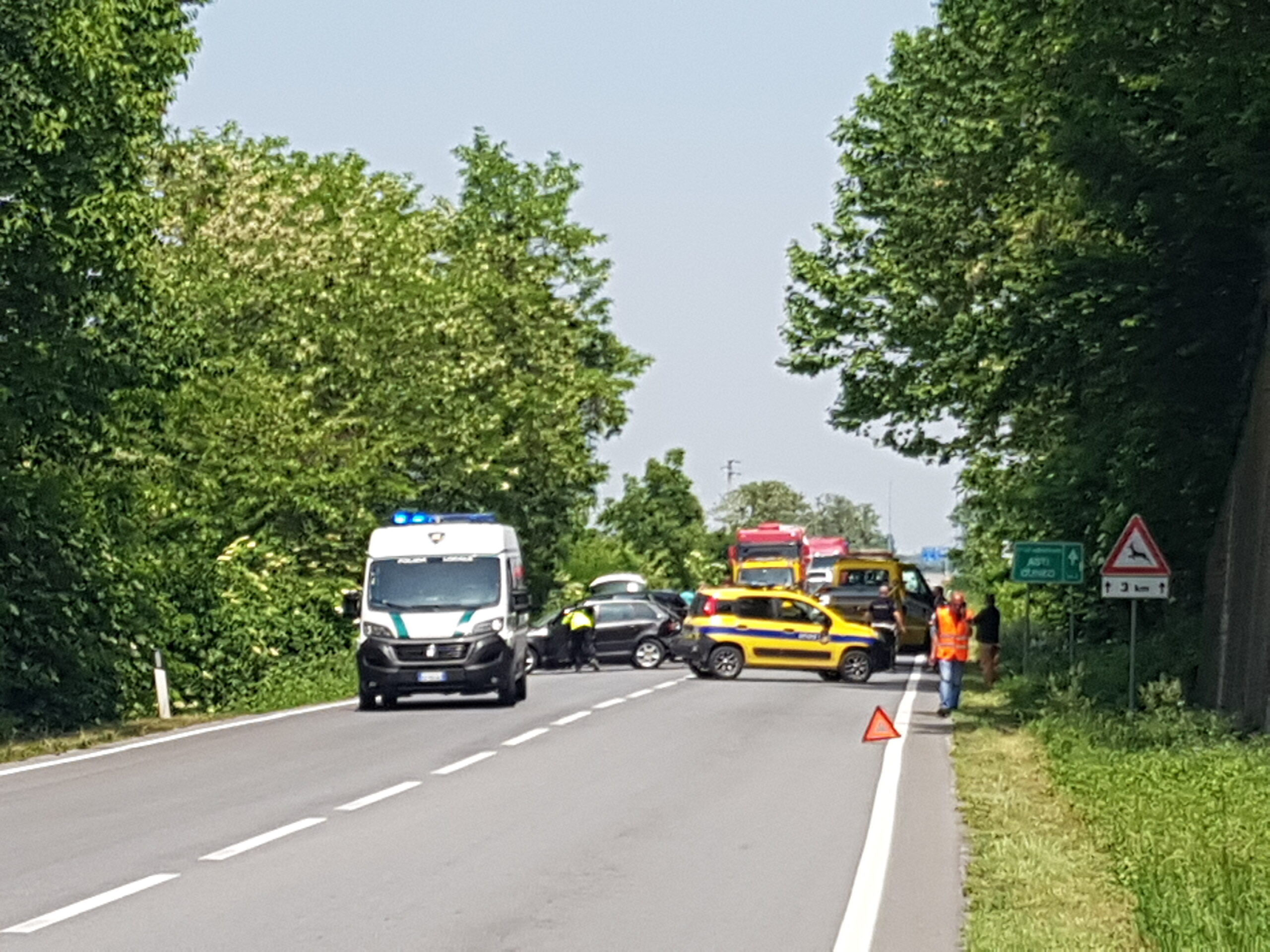 Capriolo attraversa la Bovesana, collisione tra tre auto, una nella riva
