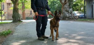 La Guida - Cane muore avvelenato a Cherasco