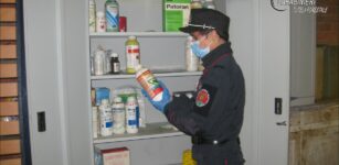 Bovini deceduti, tracce di fitofarmaci nel foraggio: un’azienda nei guai La Guida - Bovini deceduti, tracce di fitofarmaci nel foraggio: un’azienda nei guai