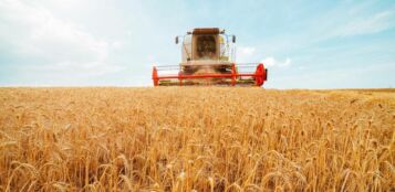 La Guida - In arrivo in Italia 1,2 miliardi di kg di mais e grano tenero