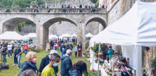 La Guida - Sboccia a Vinadio la seconda edizione di “Forte in fiore”