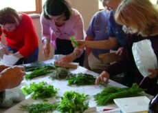 La Guida - Chiusa Pesio: laboratori, visite guidate e degustazione