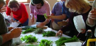 La Guida - Chiusa Pesio: laboratori, visite guidate e degustazione