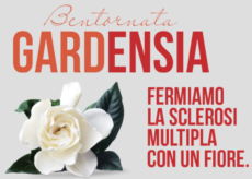La Guida - Le gardenie per sostenere la ricerca contro la sclerosi multipla