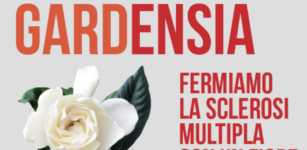 La Guida - Le gardenie per sostenere la ricerca contro la sclerosi multipla