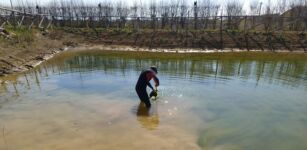A Fossano si inaugura il Laghetto delle Libellule La Guida - A Fossano si inaugura il Laghetto delle Libellule