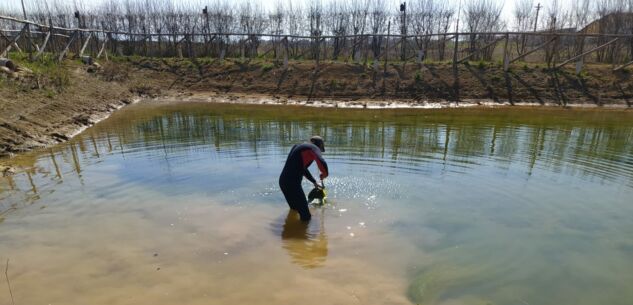 La Guida - A Fossano si inaugura il Laghetto delle Libellule