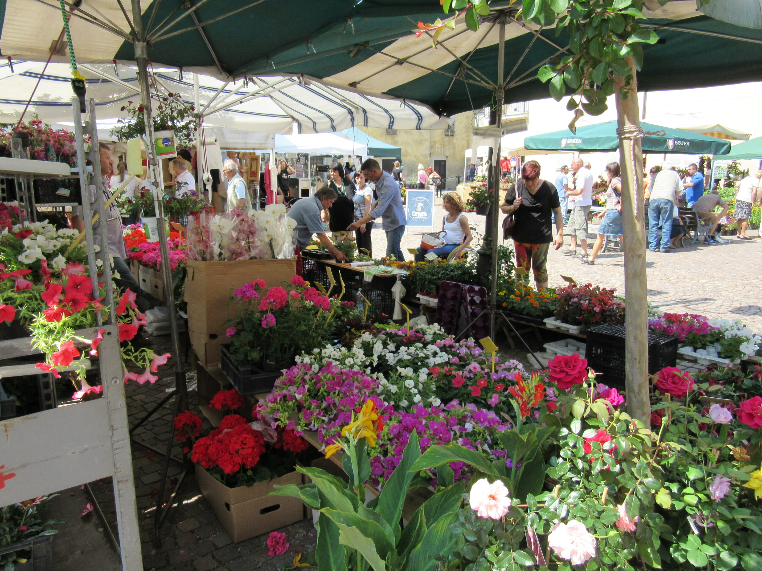 Tra sapori e colori della Valle Ellero