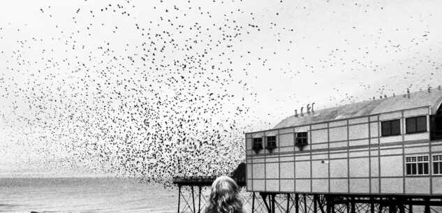 La Guida - Le fotografie di Nicola Digirolamo in mostra alle Terme di Valdieri