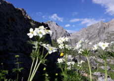 La Guida - Monte Freide e Albrage, “Roumiage” da Santa Lucia di Coumboscuro a San Mauro di Rittana