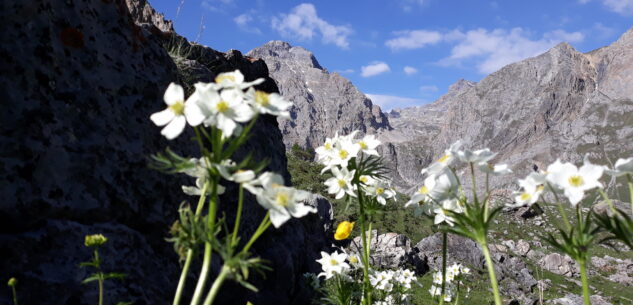 La Guida - Monte Freide e Albrage, “Roumiage” da Santa Lucia di Coumboscuro a San Mauro di Rittana