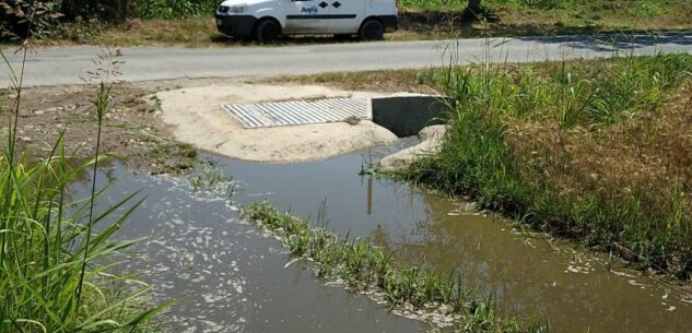 La Guida - Schiume in un canale a Sant’Albano Stura