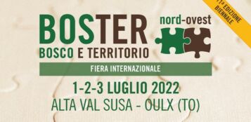 La Guida - Emergenza siccità, il legno come alternativa al gas e il futuro delle foreste