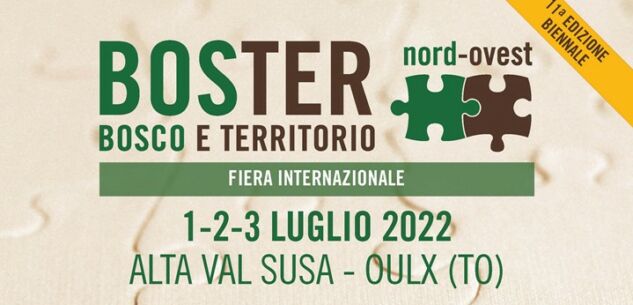 La Guida - Emergenza siccità, il legno come alternativa al gas e il futuro delle foreste