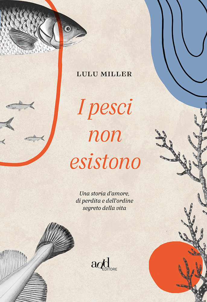 C’è un ordine segreto nella vita?