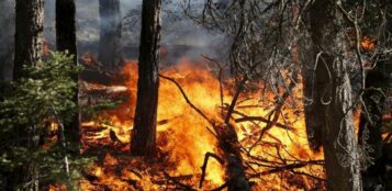 La Guida - La Regione revoca lo stato di massima pericolosità per gli incendi