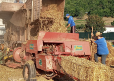 La Guida - A Garessio la trebbiatura del grano come una volta