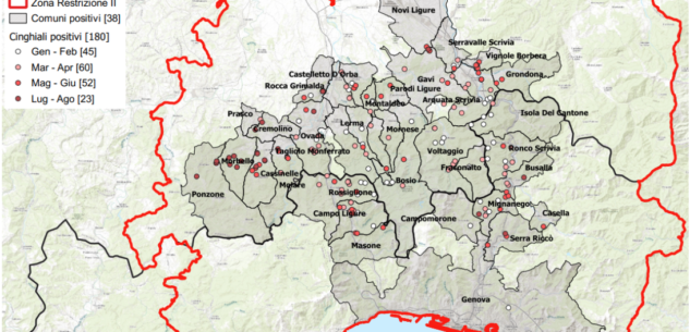 La Guida - Peste suina africana, un nuovo caso in Piemonte