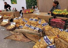 La Guida - Fiera delle patate e festa patronale a Entracque