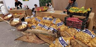 La Guida - Fiera delle patate e festa patronale a Entracque