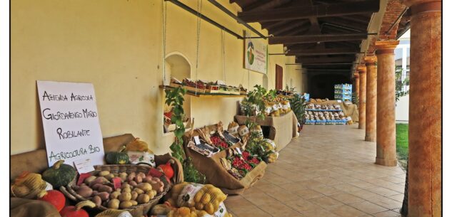 La Guida - La festa patronale di Rivoira entra nel vivo