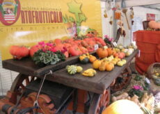 La Guida - Torna a Cuneo dal 9 all’11 settembre la Mostra ortofrutticola cuneese