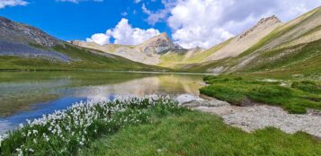 La Guida - Monte Viraysse e Pointe de la Reculaye, Cima Pagarì di Salese e Cime de Roguè