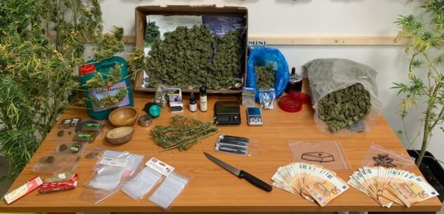 La Guida - Coltivava cannabis e spacciava, 38enne finisce in carcere