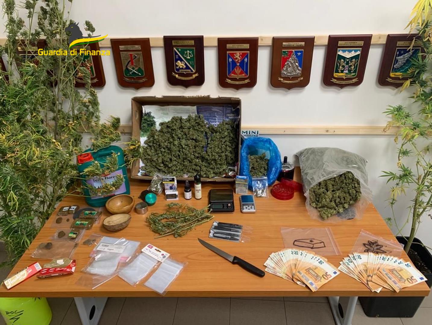 Coltivava cannabis e spacciava, 38enne finisce in carcere