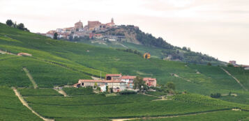 La Guida - Barolo e Barbaresco: sulle nuove direttive di produzione è scontro tra Consorzio e singoli produttori