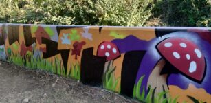 A Castelletto Stura un murales realizzato dai ragazzi La Guida - A Castelletto Stura un murales realizzato dai ragazzi