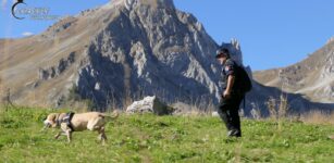 Bocconi avvelenati, i controlli dei Carabinieri Forestali (video) La Guida - Bocconi avvelenati, i controlli dei Carabinieri Forestali (video)