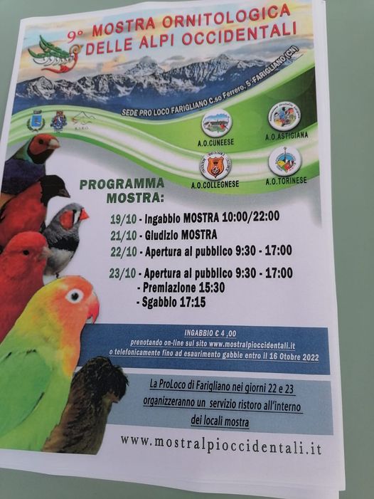 Più di 1500 uccelli in esposizione a Farigliano