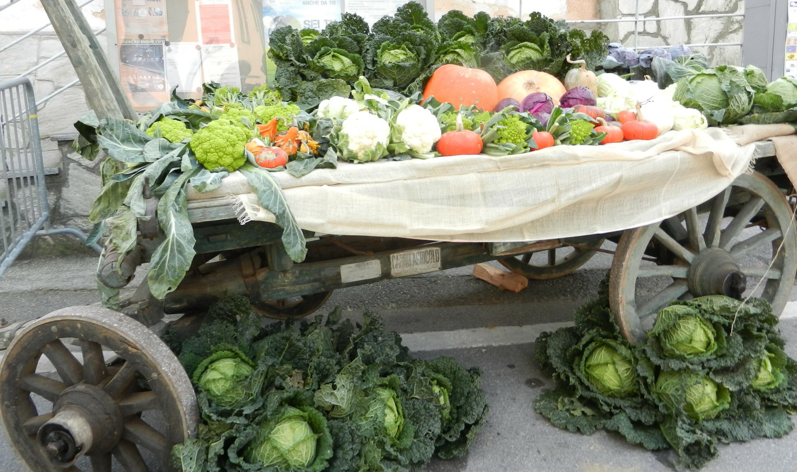 I prodotti della terra cuneese con la 17a Sagra del Coj
