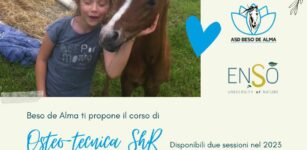 La Guida - “Come entrare in contatto con i nostri animali”, corso con Beso de Alma