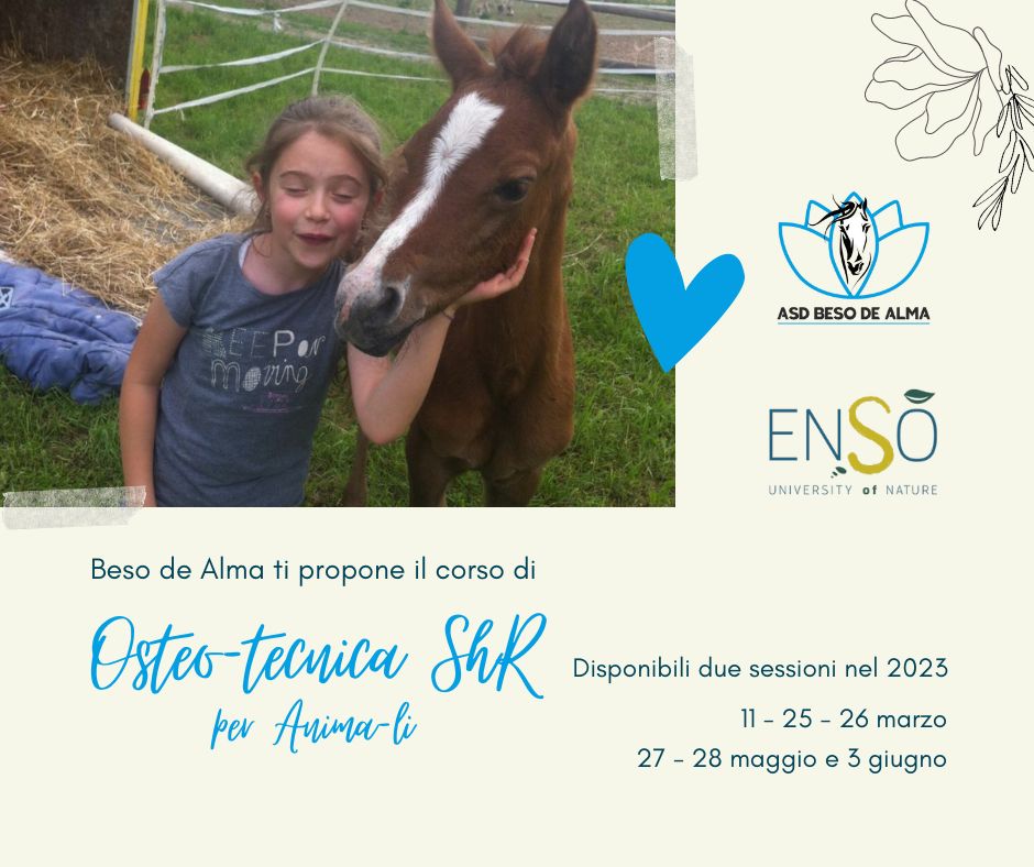 “Come entrare in contatto con i nostri animali”, corso con Beso de Alma