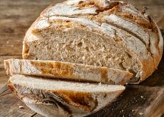 La Guida - Il pane quotidiano: quando per sfamarsi erano indispensabili dieci emine di grano