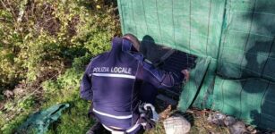 I Vigili urbani salvano un cane in una bialera La Guida - I Vigili urbani salvano un cane in una bialera