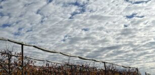 La Guida - Agricoltura, Cia Cuneo spiega ai soci la nuova Politica agricola comunitaria