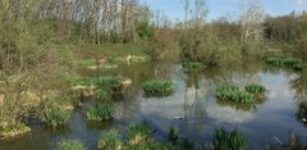 La Guida - All’Oasi di Crava Morozzo passeggiata al buio per scoprire la natura